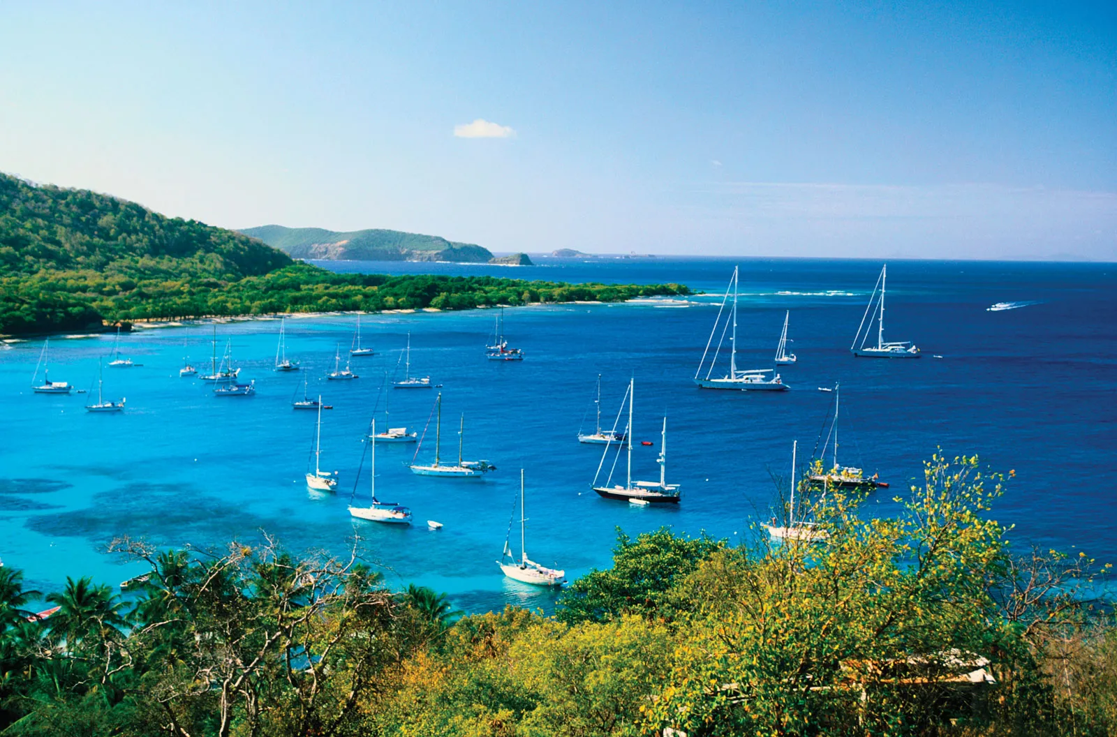 A view (from a tall hill) of sailboats in the ocean in Mustique, Saint Vincent and the Grenadines.