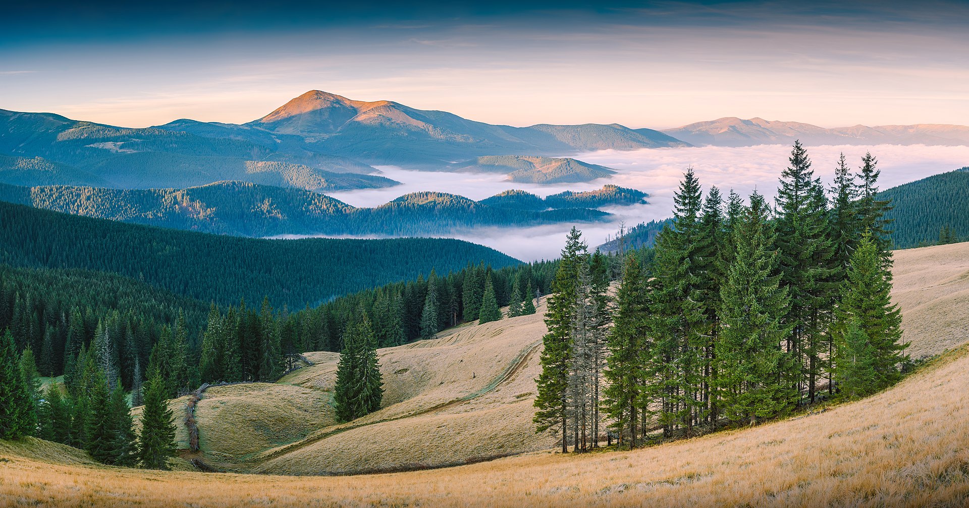 carpathian biosphere reserve