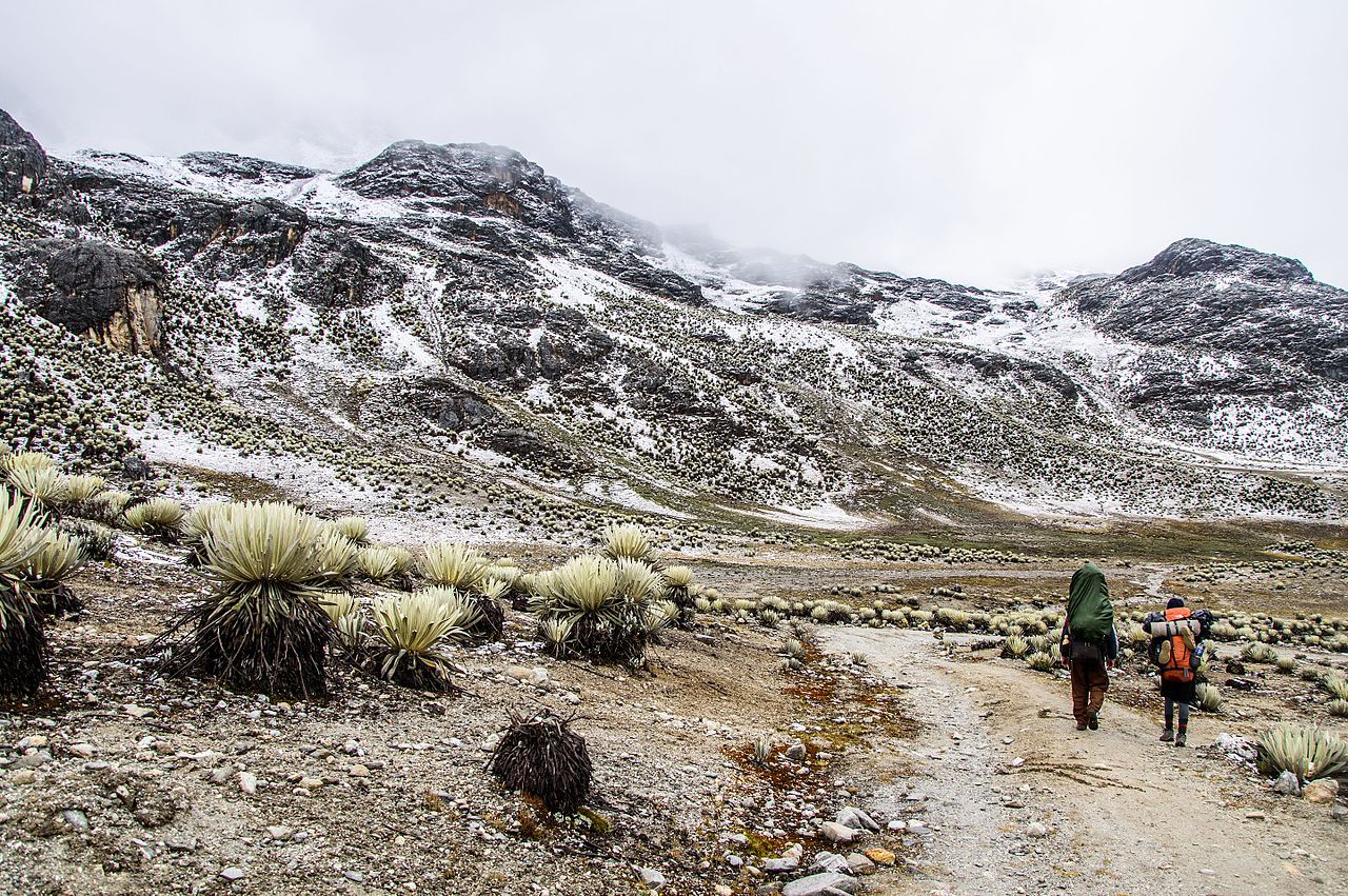 Snow in Valle de Mifafí
