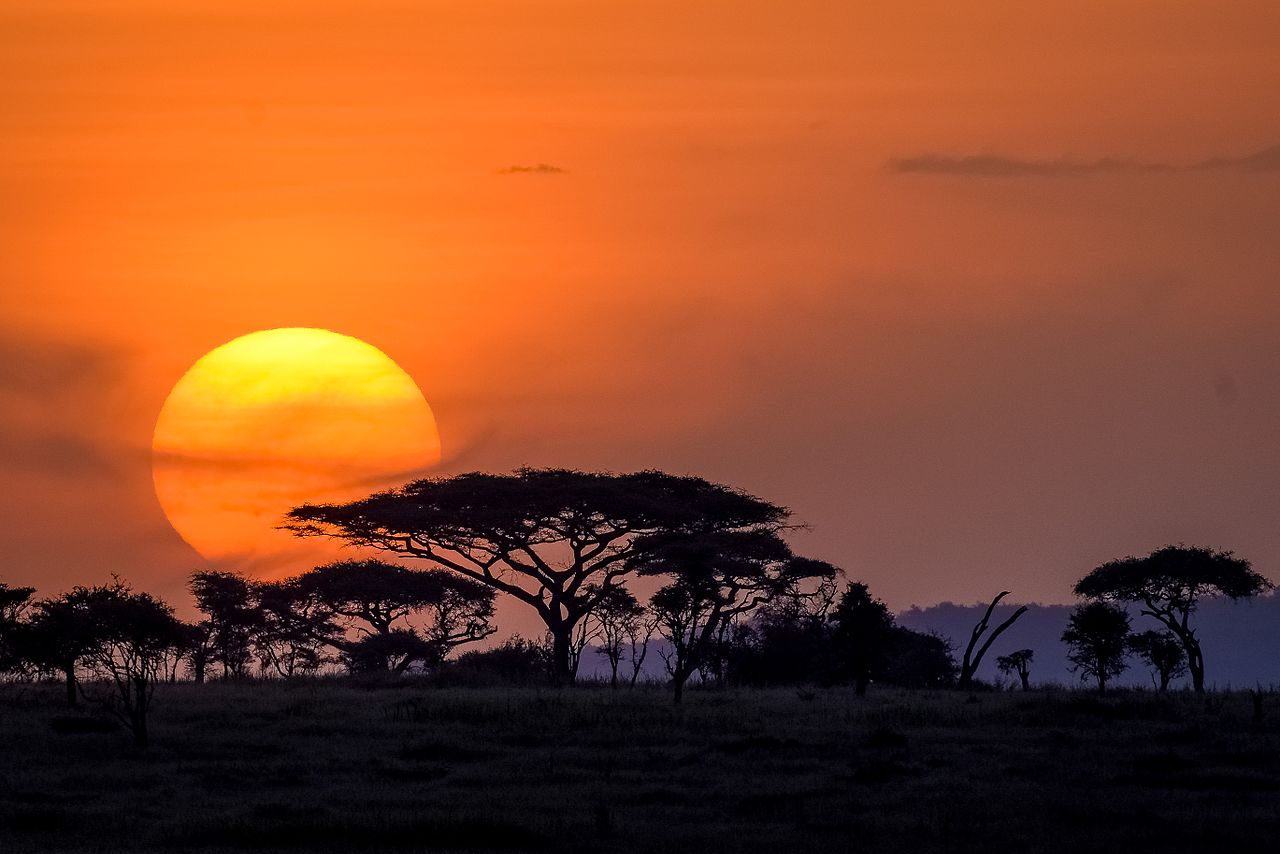 Serengeti sunset