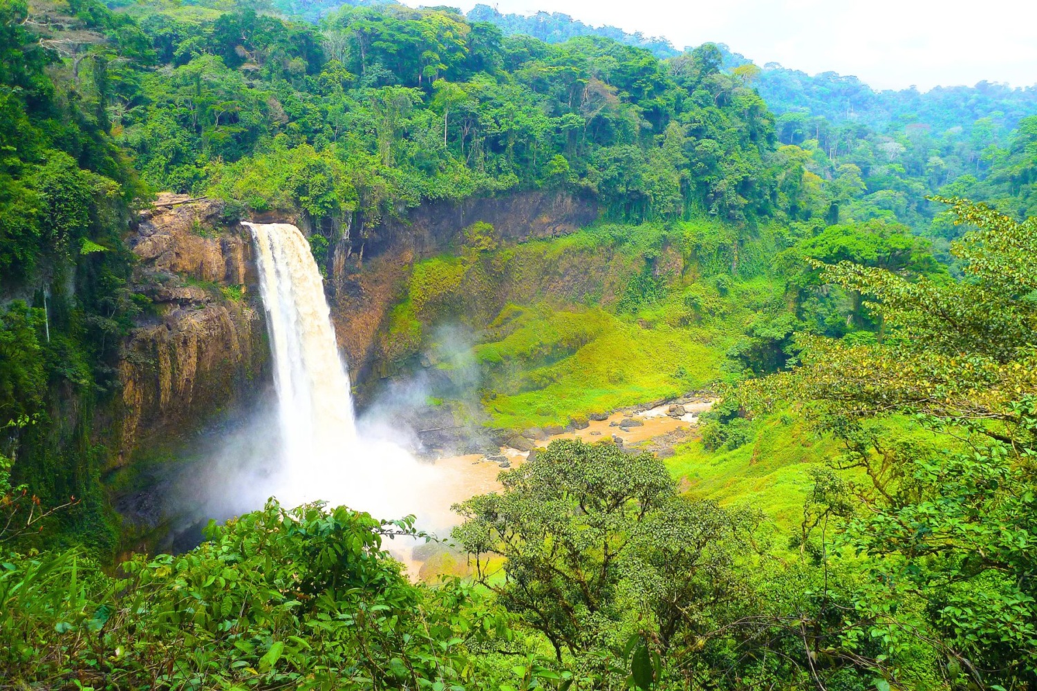 A waterfall in a lush green forest in Cameroon