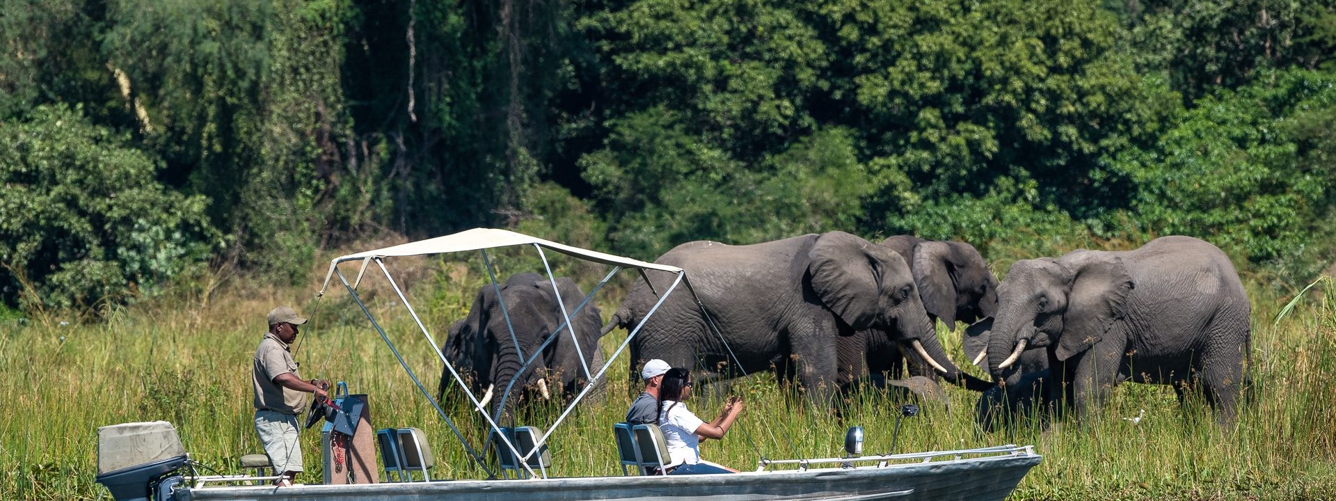 Spectators on a boat safari tour viewing elepants in Liwonde National Park