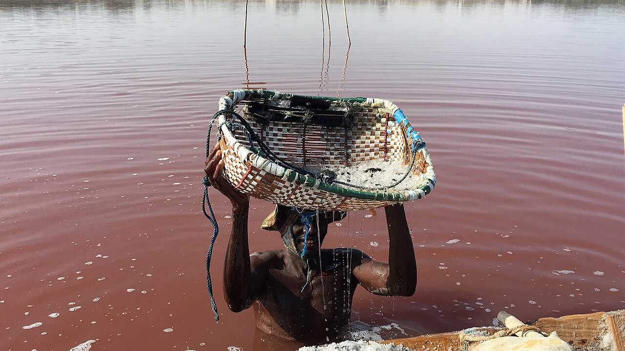 Worker harvesting salt from the lake
