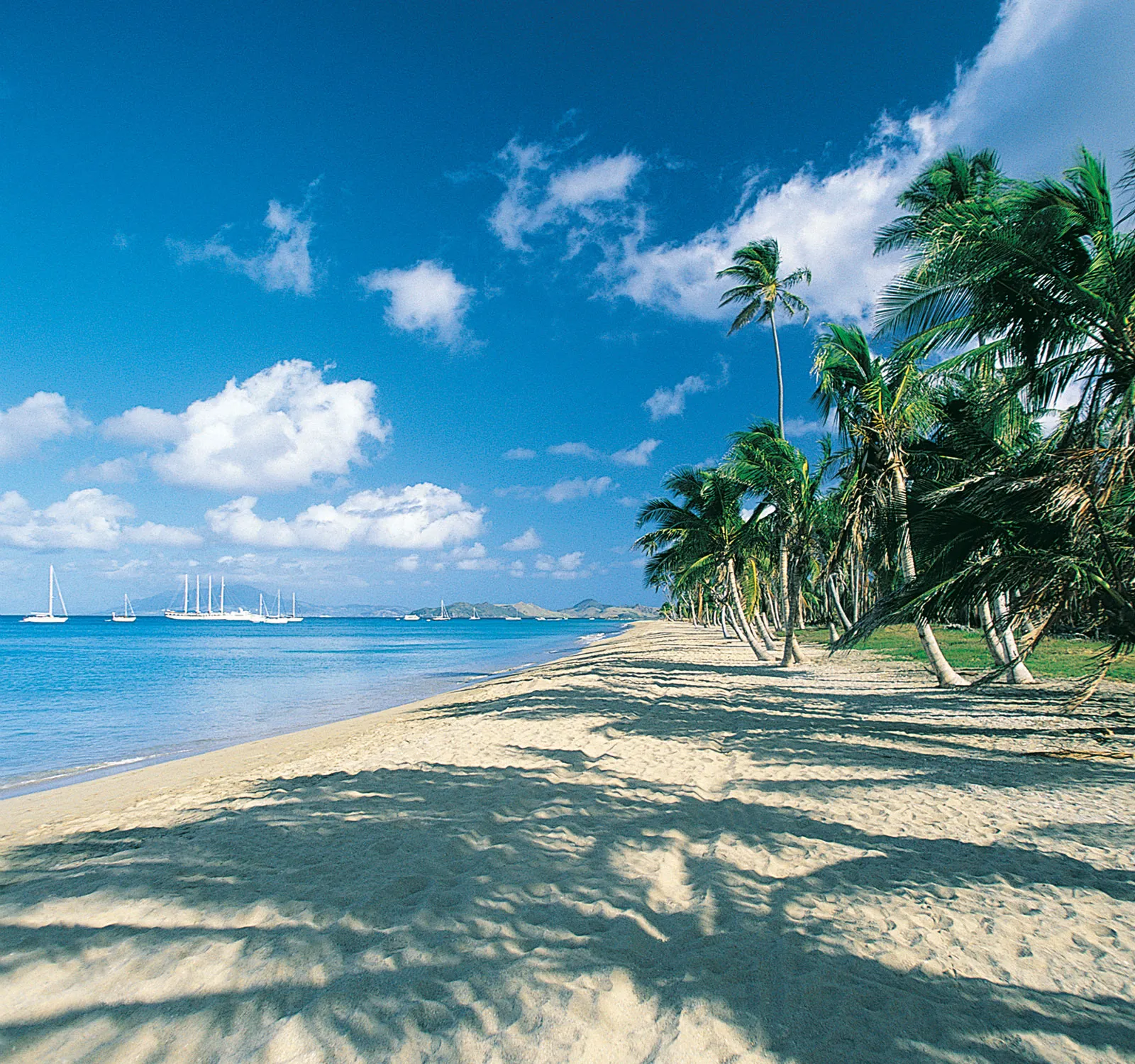 A beach in St Kitts with beautiful blue ocean, blue sky, white sand, and palm trees