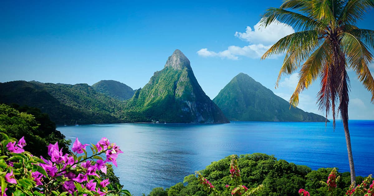 Mountains over the sea, blue sky, and palm trees and wildflowers