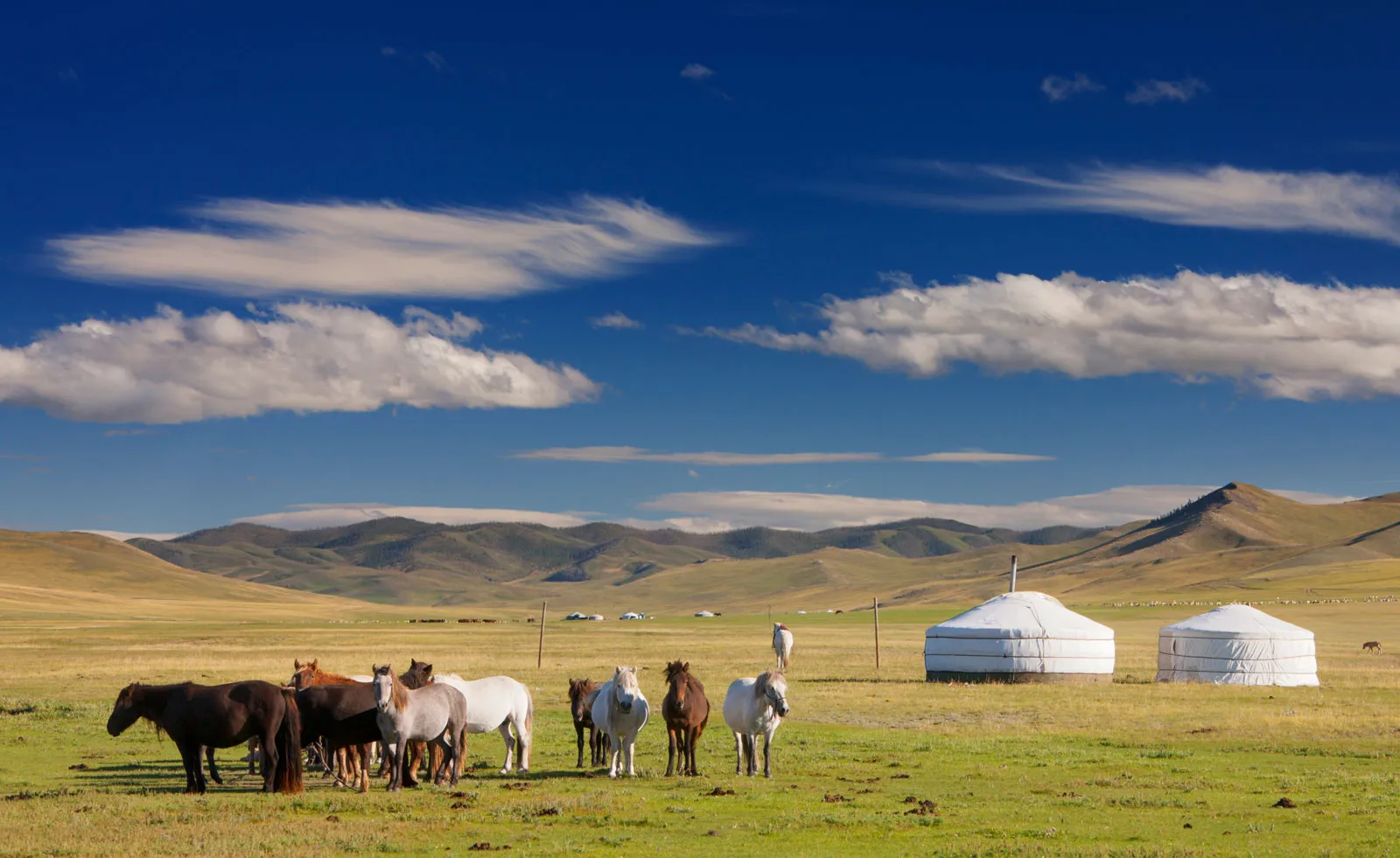 Orkhon Valley, Mongolia
