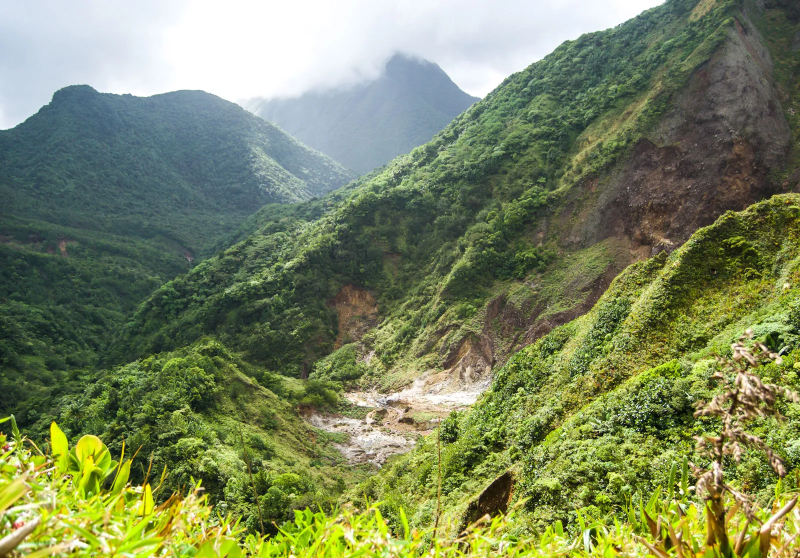 Mountains in Dominica covered in lush green trees