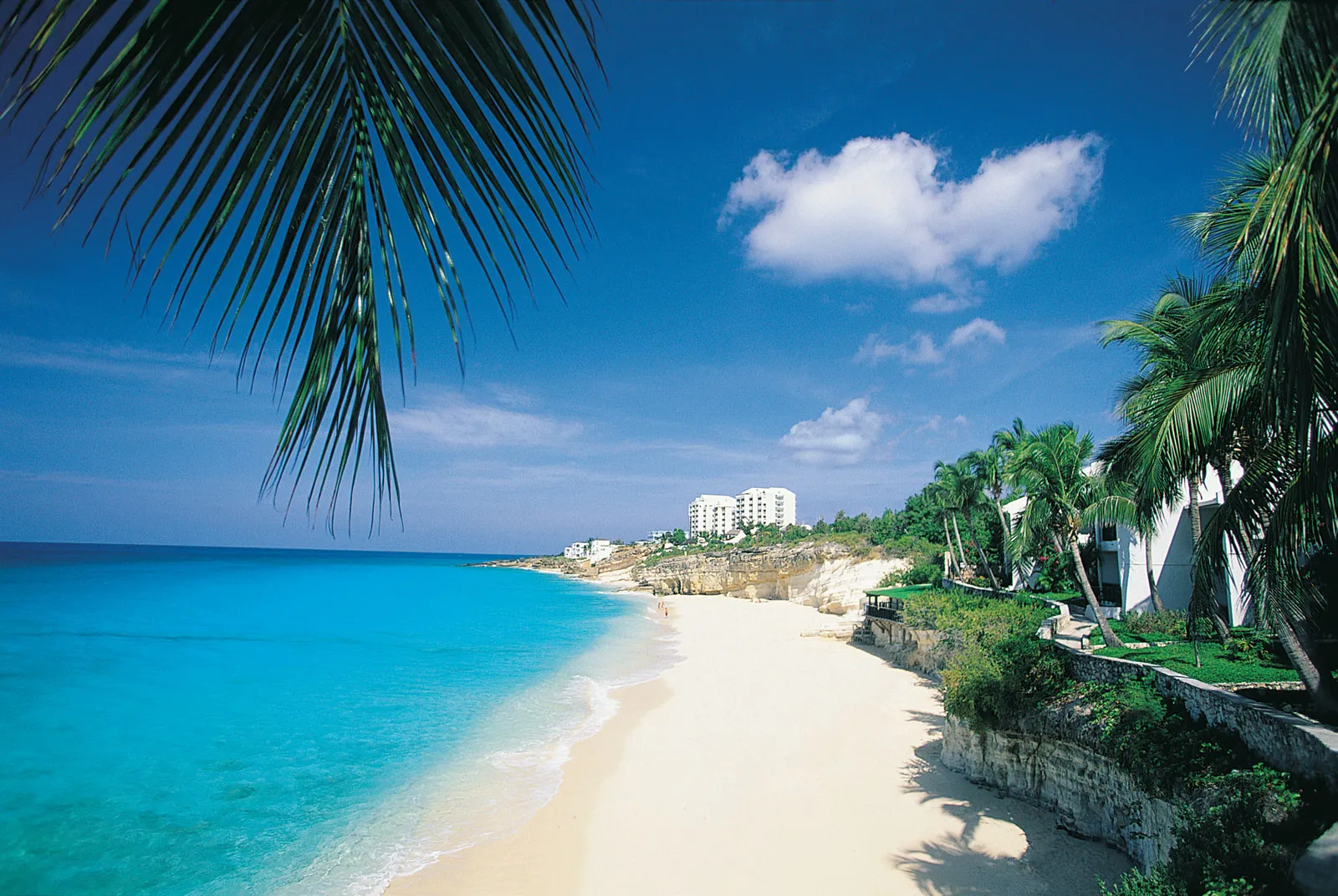 A beautiful white sand beach with blue ocean, blue sky, and palm trees