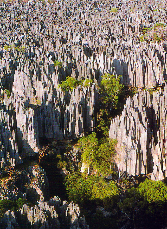 Tsingy de Bemaraha Strict Nature Reserve in Madagascar.
