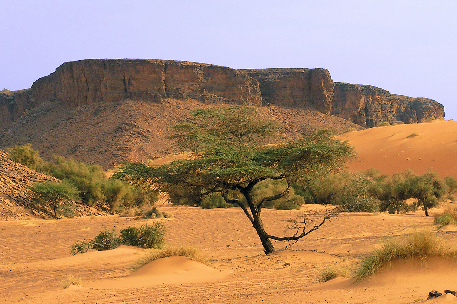 Mountains in the Adrar region