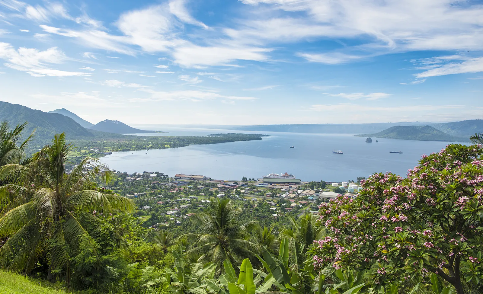 View of a town, palm trees, and ocean in Papua New Guinea