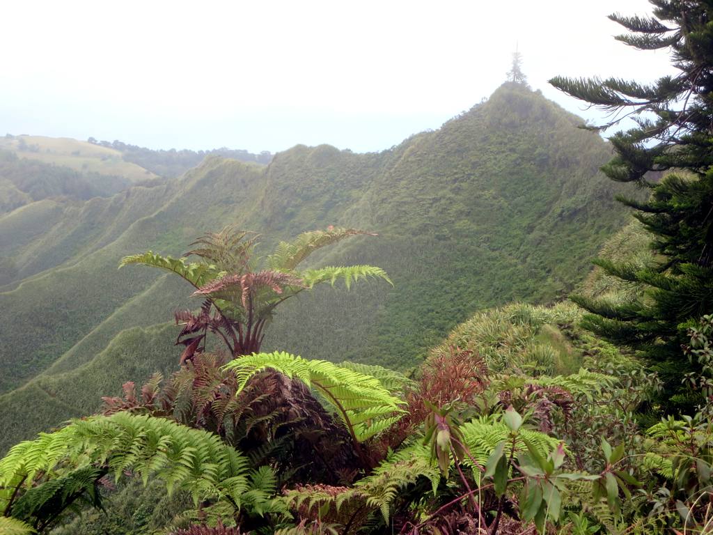 Mount Actaeon, Diana's Peak National Park.