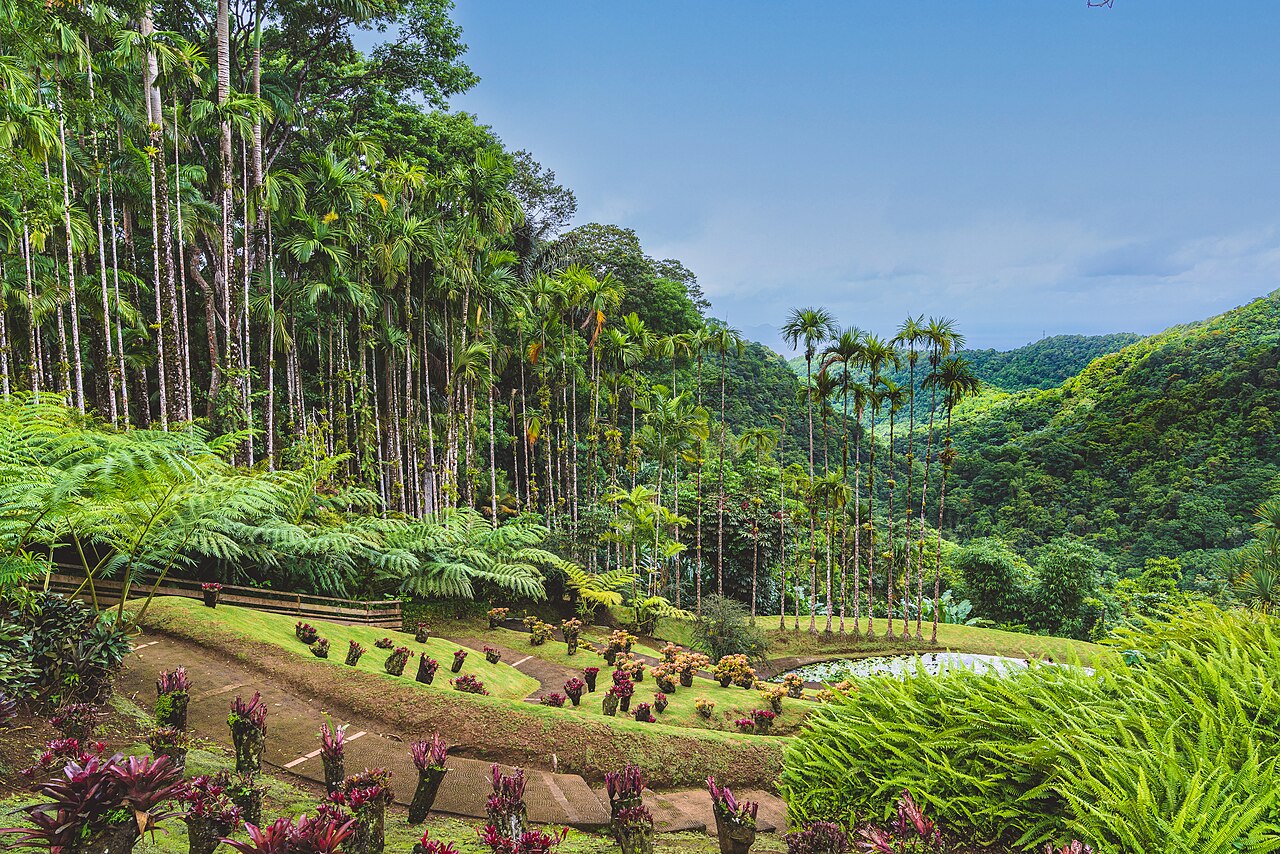 garden view of Jardin de Balata