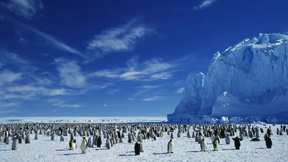 Antarctica- Why can't I visit?