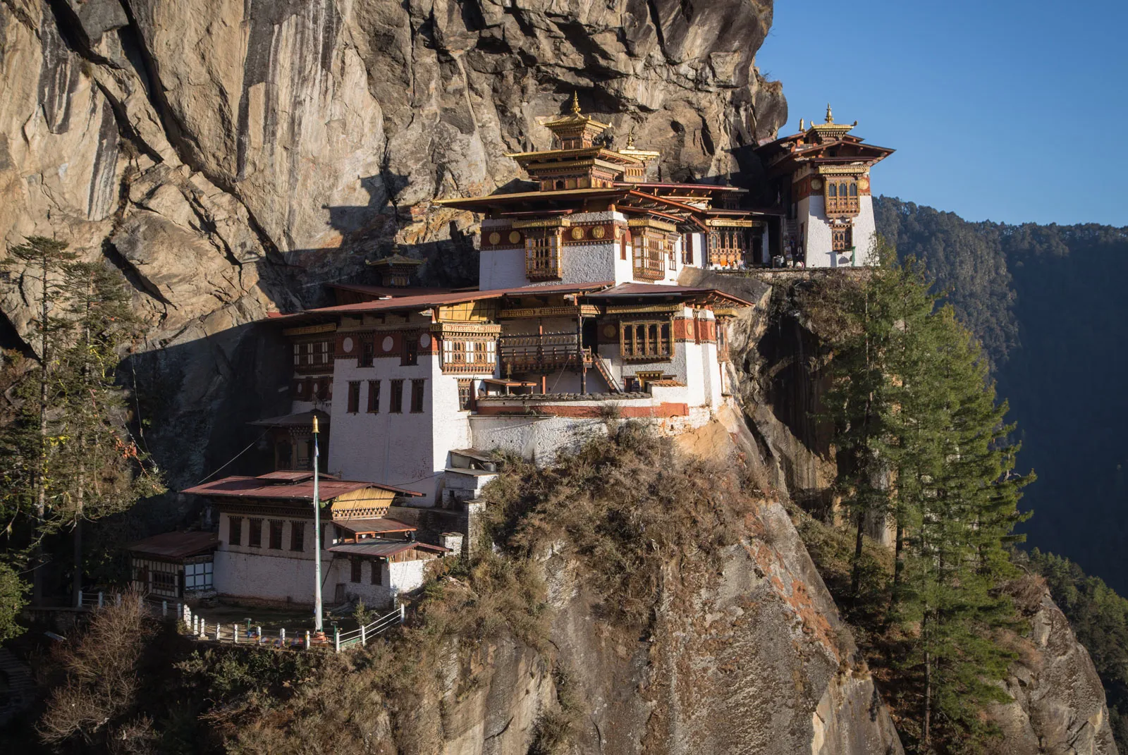 Tiger monastery, Bhutan. A monastery on rocky cliffs with pine trees