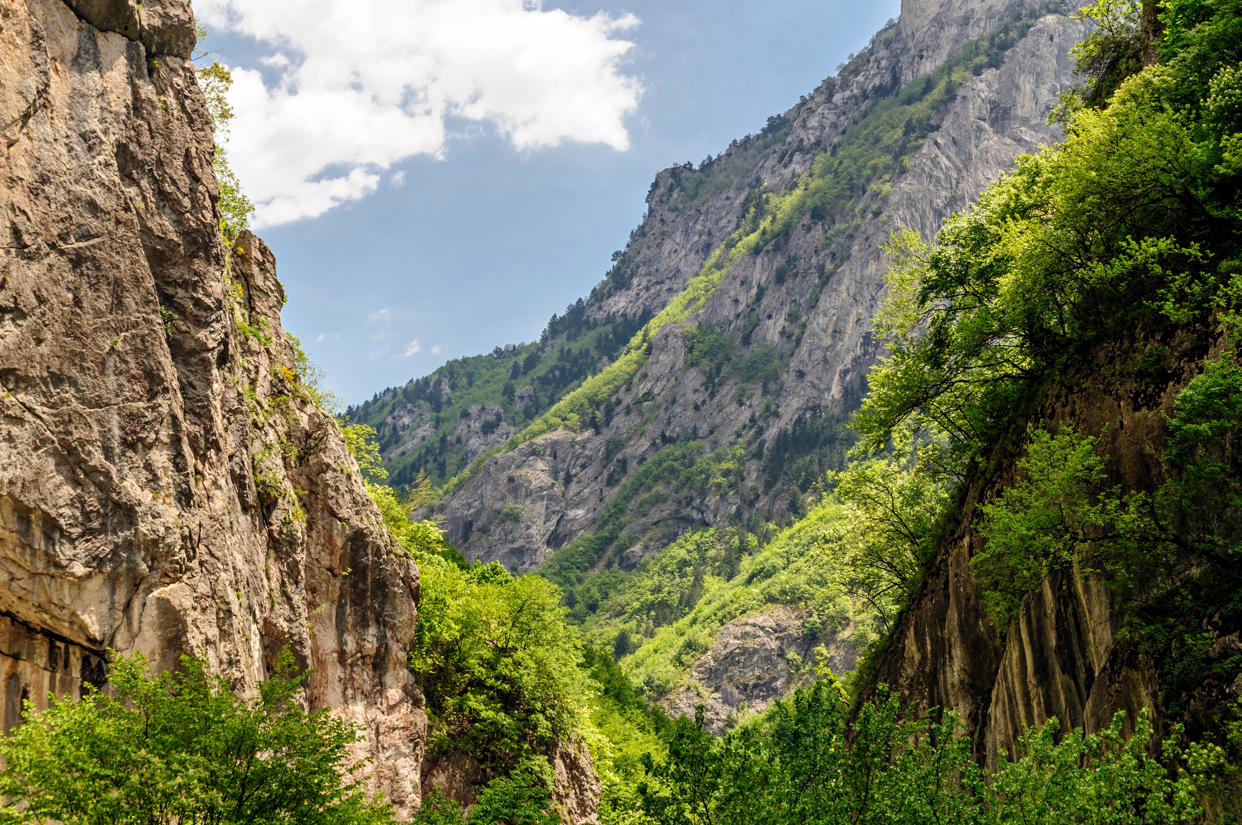 The Rugova Canyon, rocky mountains with green trees